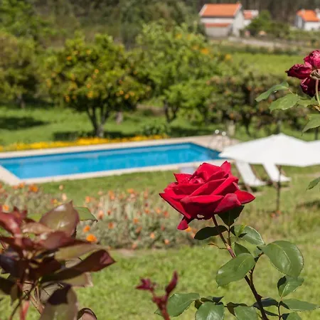 Quinta Da Marouba Fojo Lobal
