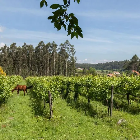 Holiday home Quinta Da Marouba Fojo Lobal