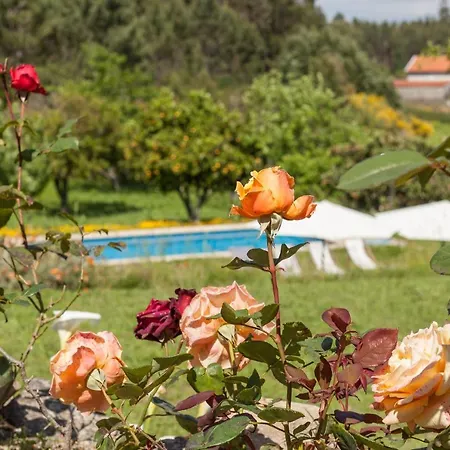 Quinta Da Marouba Holiday home Fojo Lobal